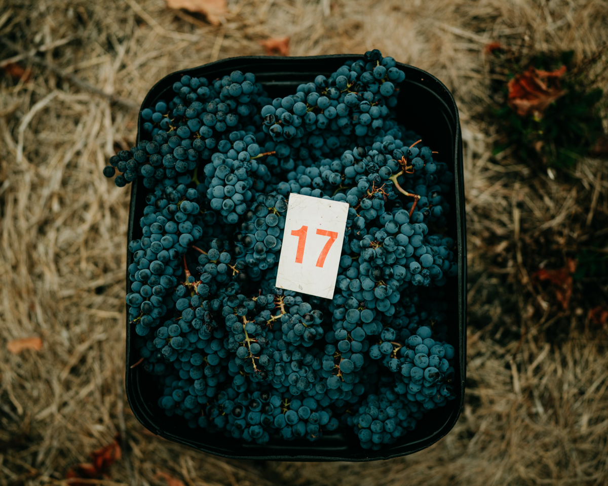2021 Wilyabrup Reserve Cabernet Sauvignon