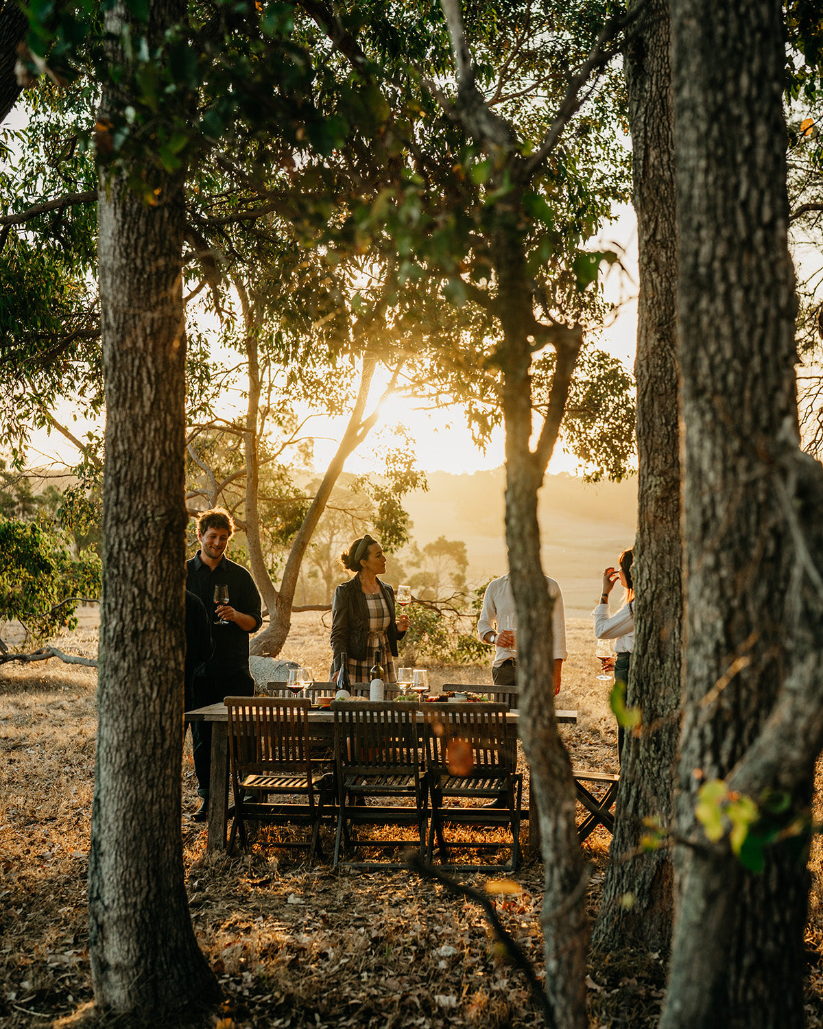 2019 Wilyabrup Cabernet Sauvignon
