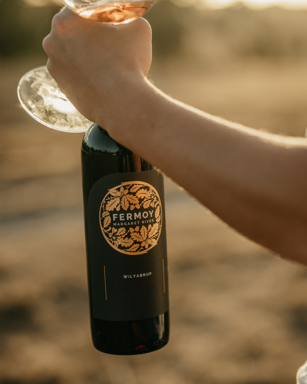 2019 Wilyabrup Cabernet Sauvignon (Case of 6)