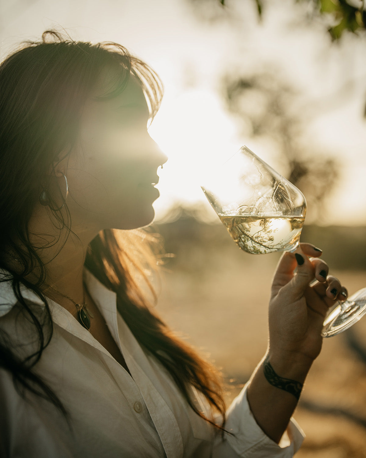 2025 Coldfire - Fumé Blanc