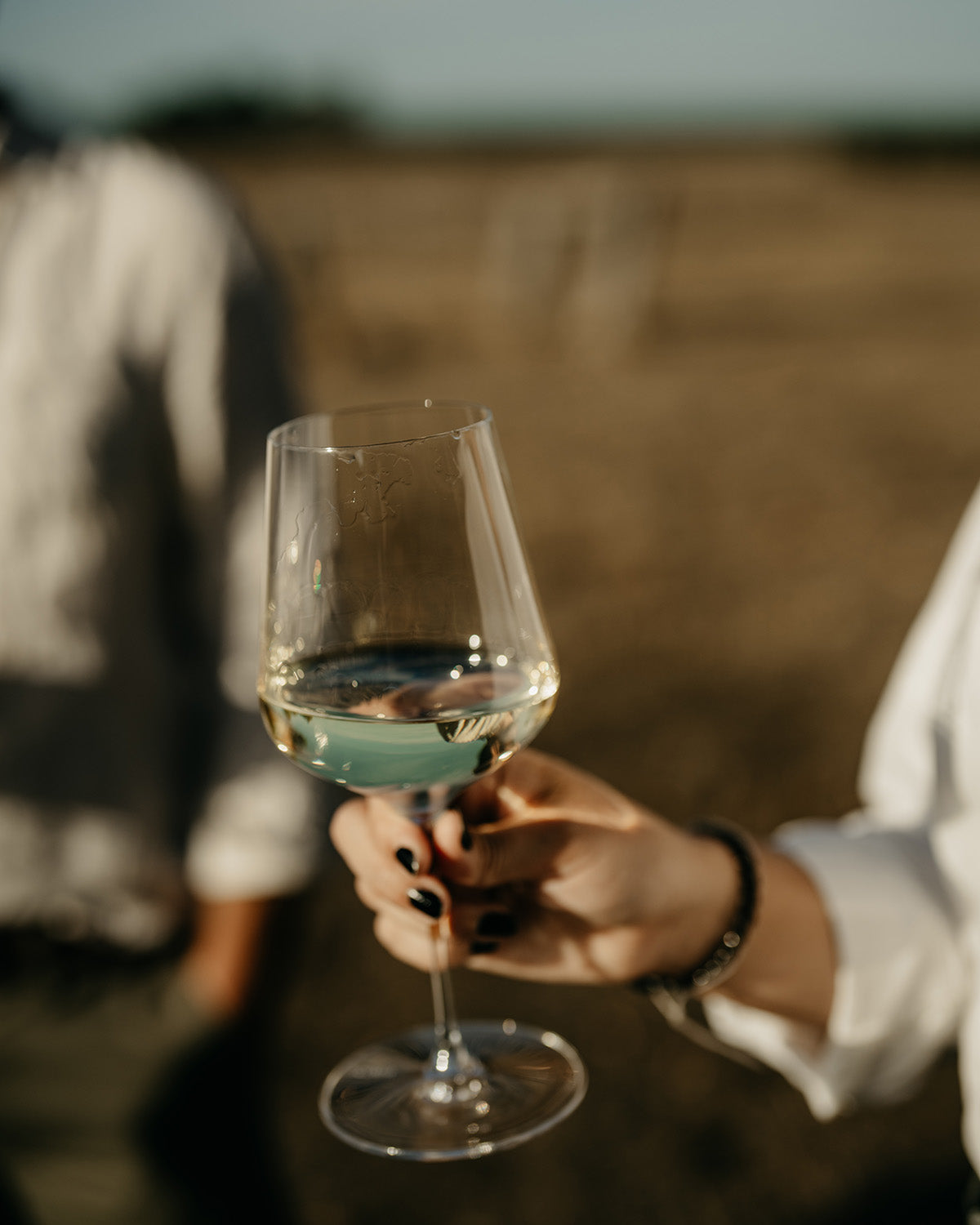 2024 Semillon Sauvignon Blanc (Case of 6)