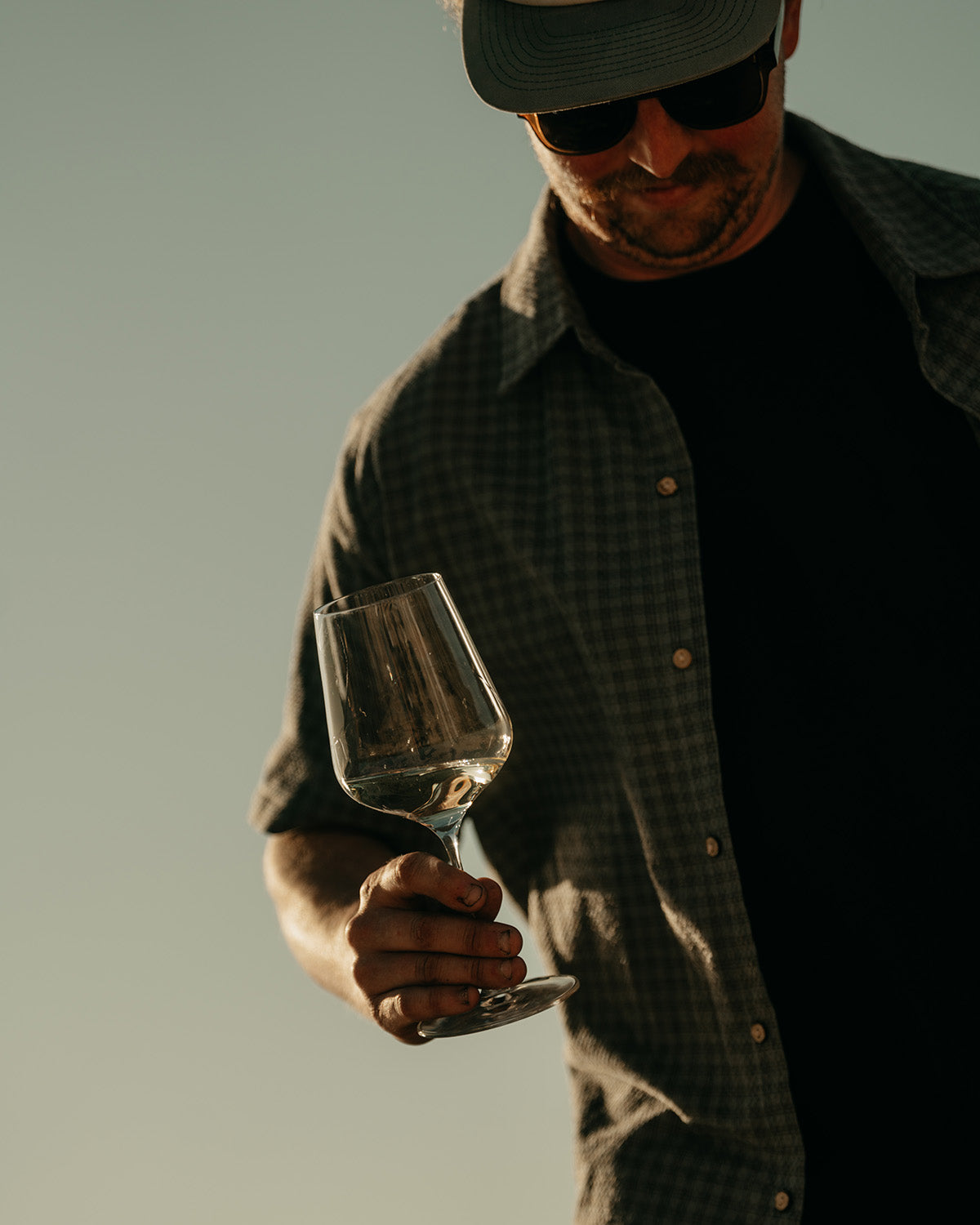 2024 Project - Pinot Gris