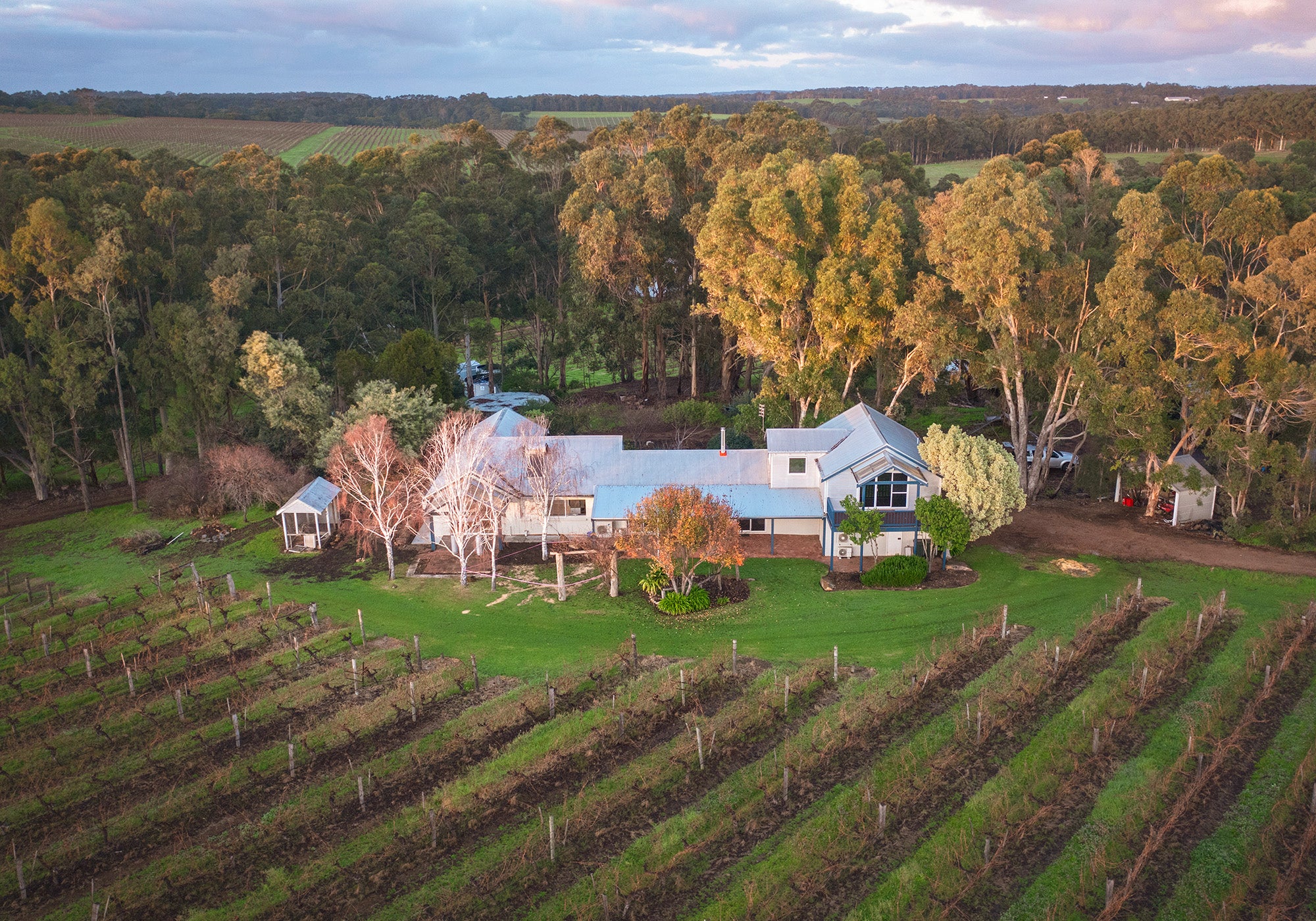 The Lodge accommodation at Fermoy winery Margaret River - aerial view of a house surrounded by vineyards and trees